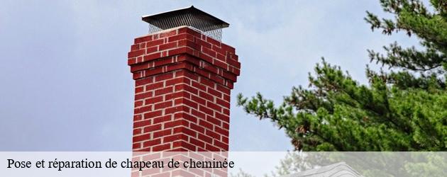 Comparez les devis des professionnels pour une pose ou une réparation de chapeau de cheminée dans le 47