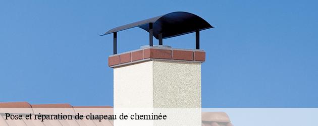 Pour une pose ou une réparation de chapeau de cheminée, les services de Ramoneur Fabre à Lacaussade à votre disposition