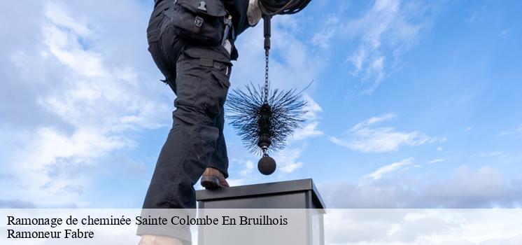 Ramonage de cheminée à Sainte Colombe En Bruilhois, dans le 47310 : à qui devez-vous adresser ?
