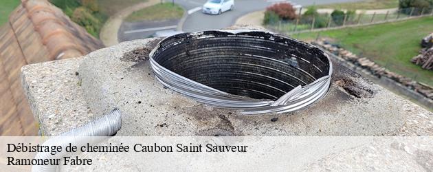 Les services de Ramoneur Fabre pour un débistrage de cheminée à Caubon Saint Sauveur , dans le 47120