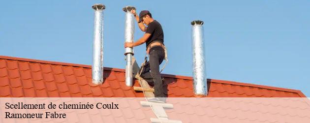 Pourquoi choisir de se tourner vers les services de l'entreprise Ramoneur Fabre pour le scellement de sa cheminée à Coulx?